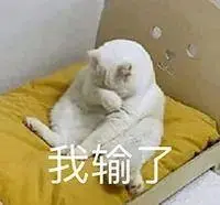 cara bermain bandar qiu qiu agar menang terus Liu Qibian selalu ingin tahu tentang kucing batu yang aneh